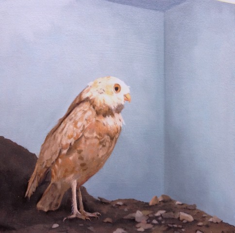 Bird 1, The Manitoba Museum