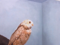 Bird 1, The Manitoba Museum